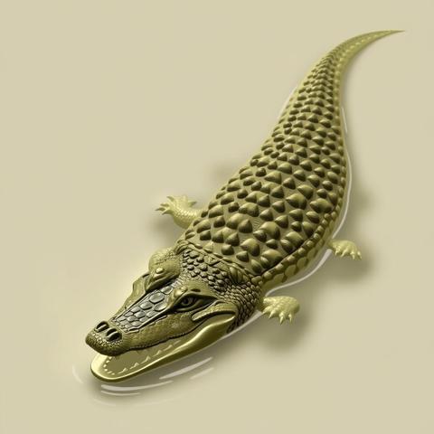 Common Variations and Themes in Alligator Dreams